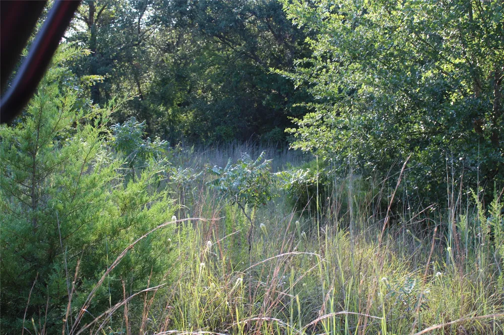 CR 935 Teague, TX 75860