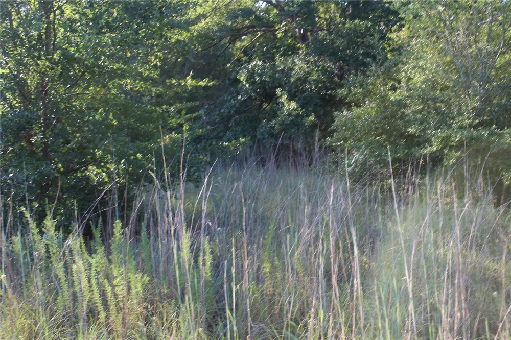 CR 935 Teague, TX 75860