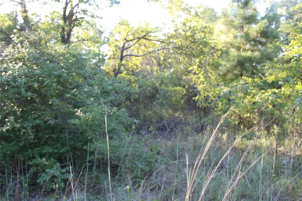 CR 935 Teague, TX 75860