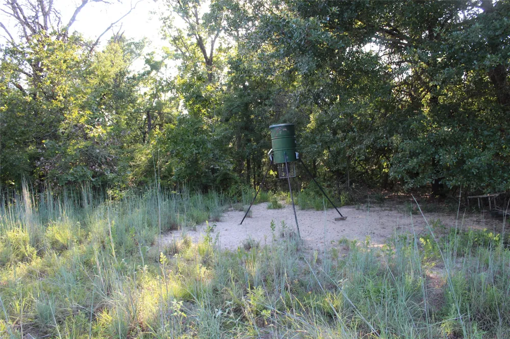 CR 935 Teague, TX 75860