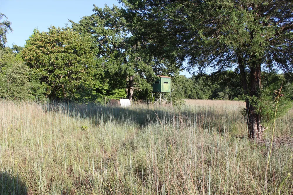 CR 935 Teague, TX 75860