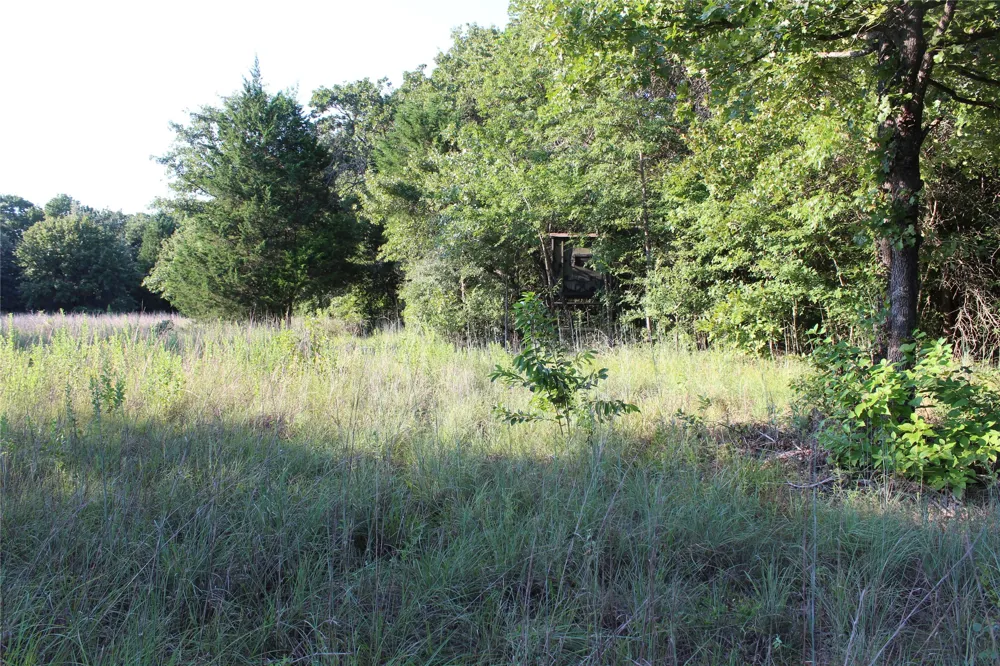 CR 935 Teague, TX 75860