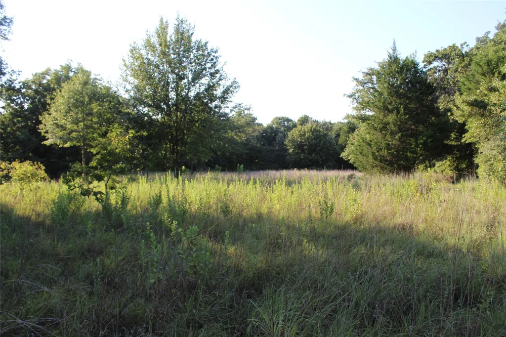 CR 935 Teague, TX 75860