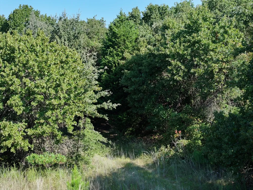 CR 935 Teague, TX 75860