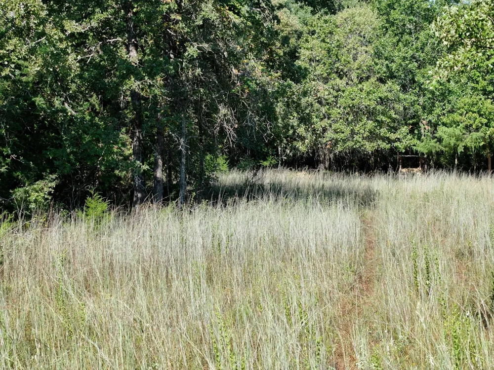 CR 935 Teague, TX 75860