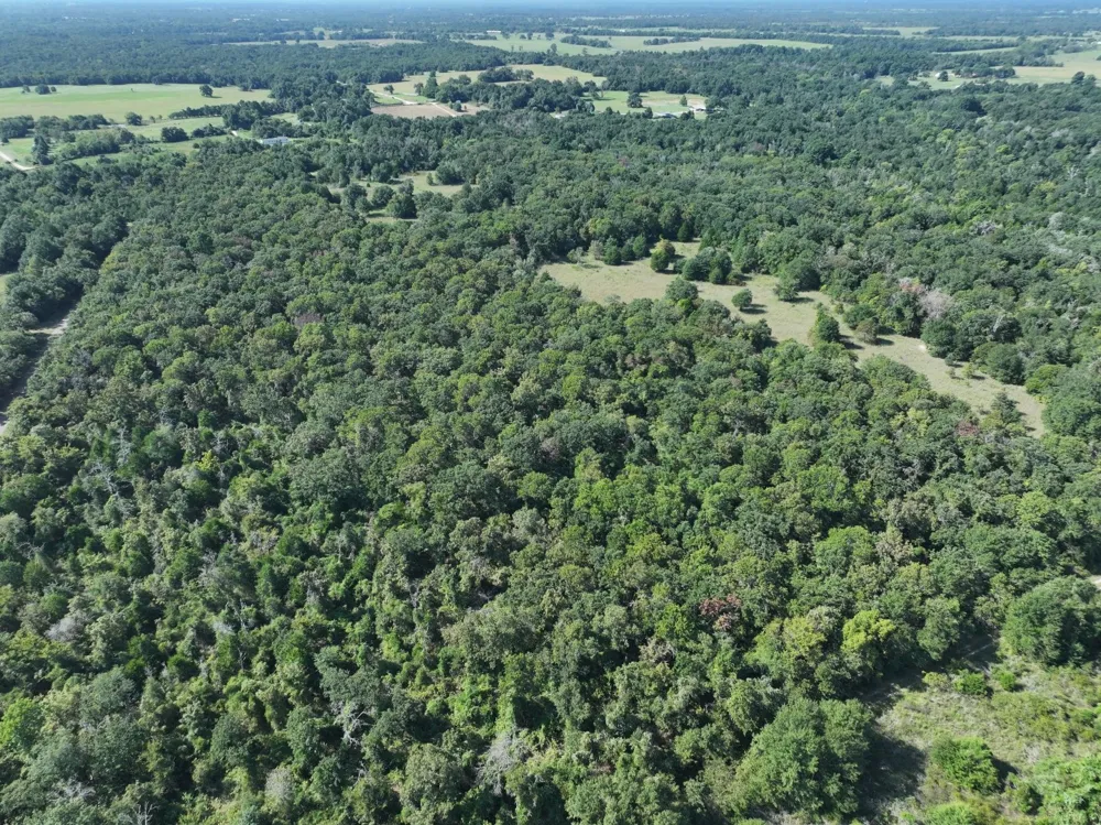 CR 935 Teague, TX 75860