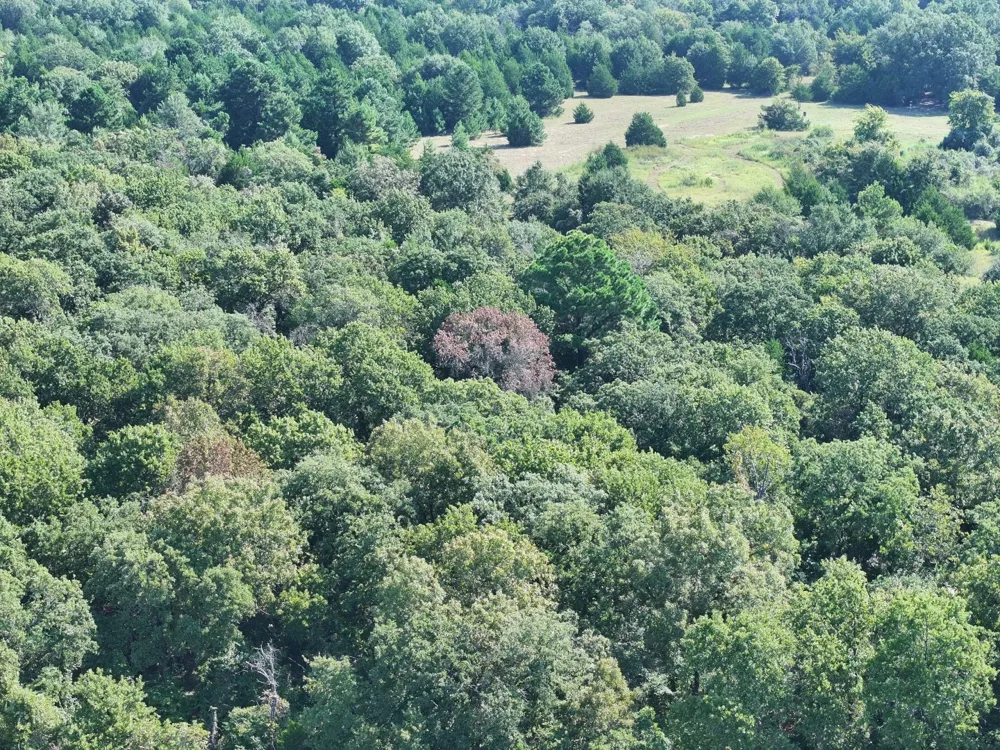 CR 935 Teague, TX 75860