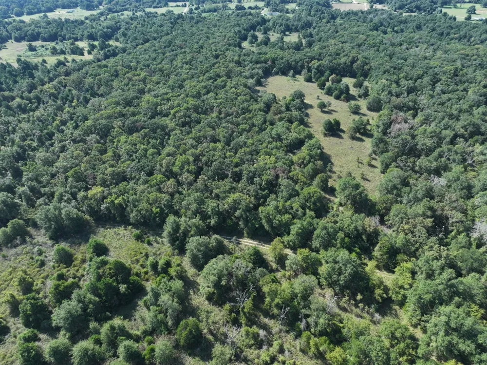 CR 935 Teague, TX 75860