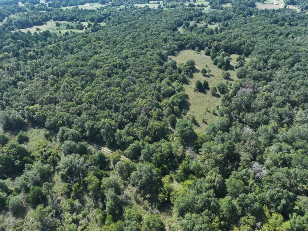 CR 935 Teague, TX 75860