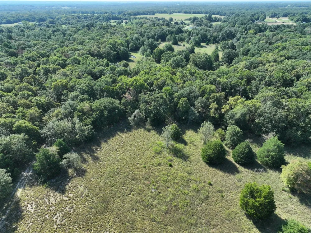 CR 935 Teague, TX 75860