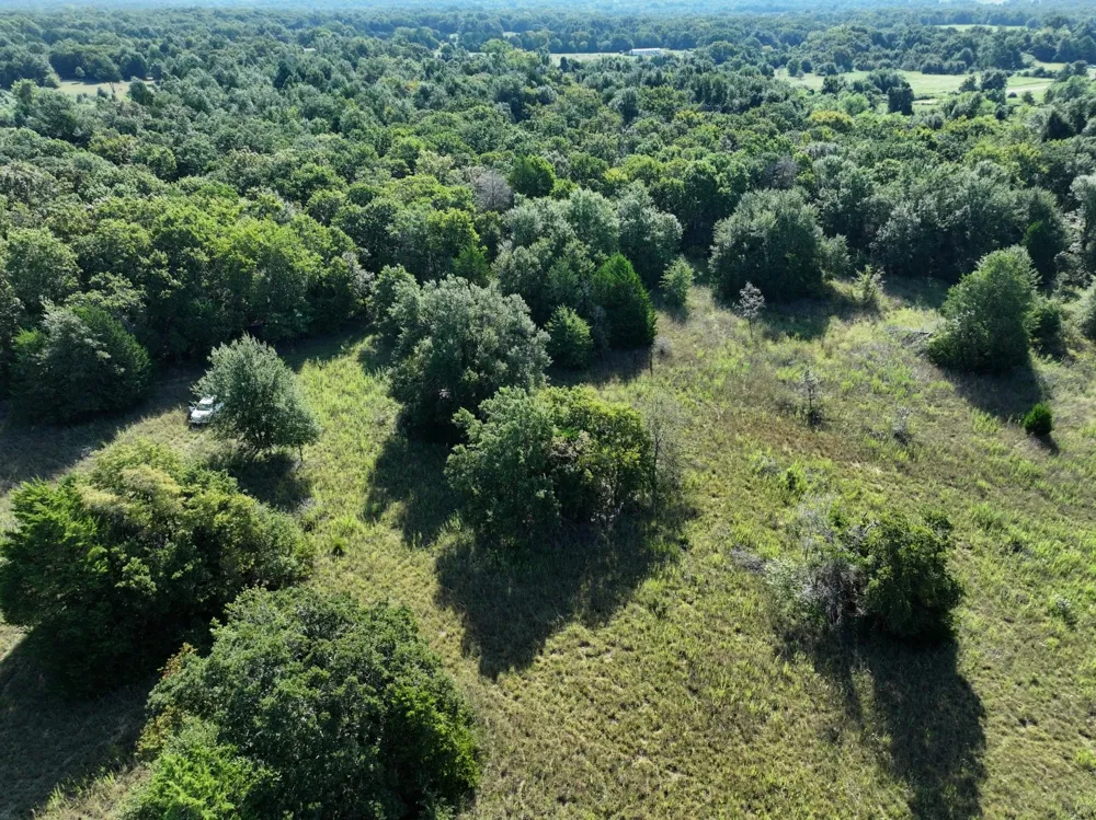 CR 935 Teague, TX 75860