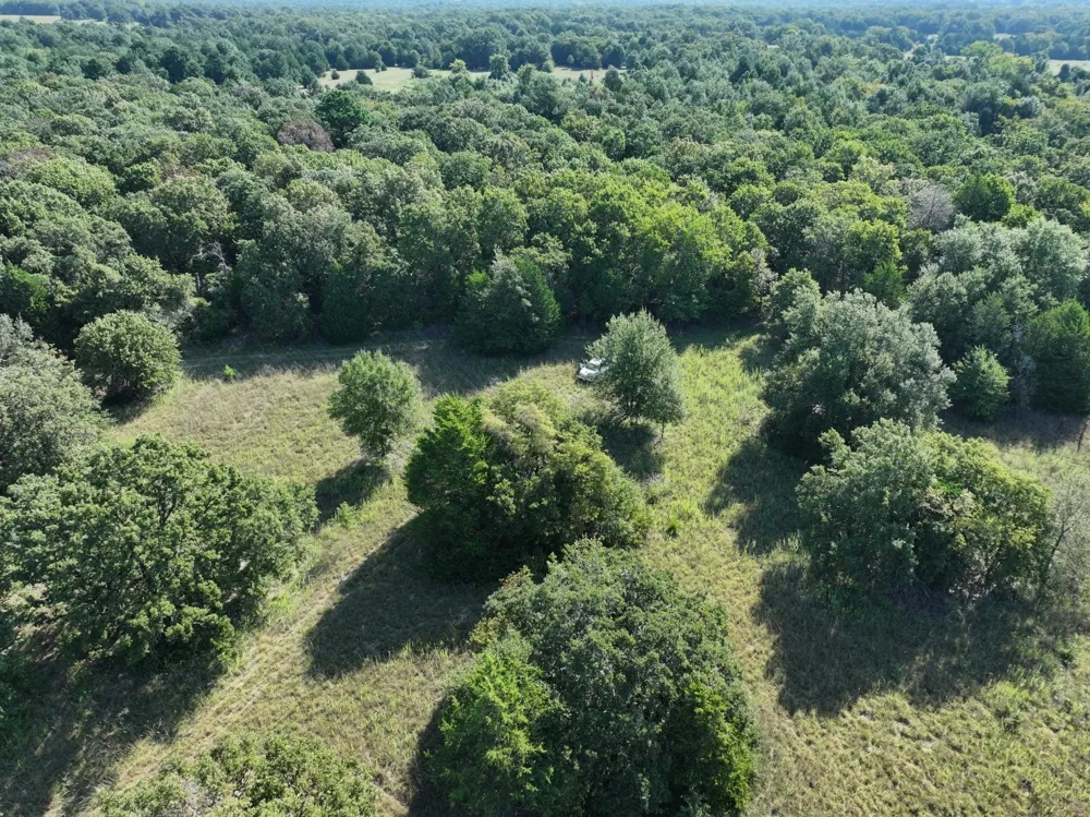 CR 935 Teague, TX 75860