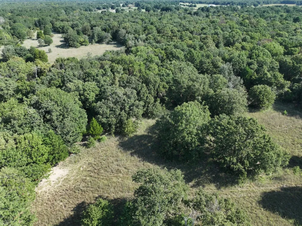 CR 935 Teague, TX 75860