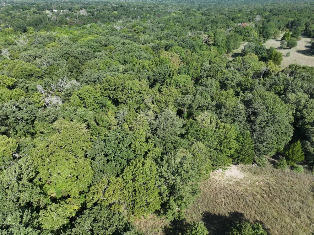 CR 935 Teague, TX 75860