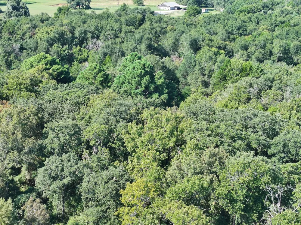 CR 935 Teague, TX 75860