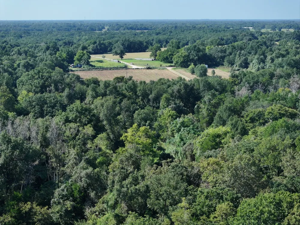 CR 935 Teague, TX 75860