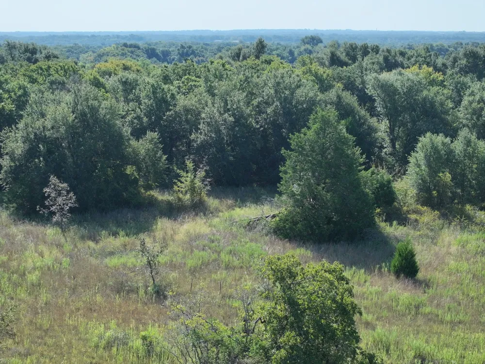 CR 935 Teague, TX 75860