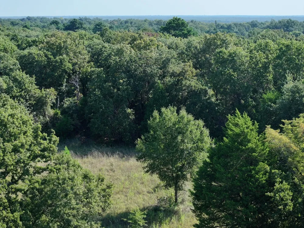 CR 935 Teague, TX 75860