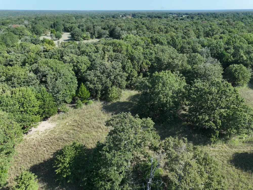 CR 935 Teague, TX 75860