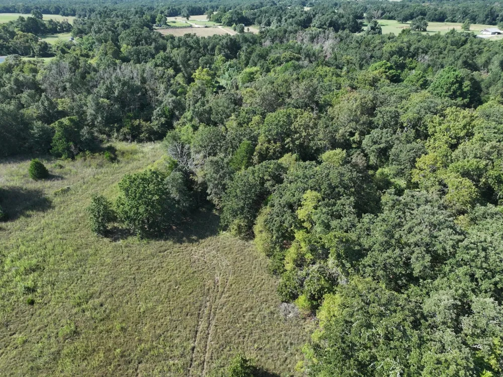 CR 935 Teague, TX 75860