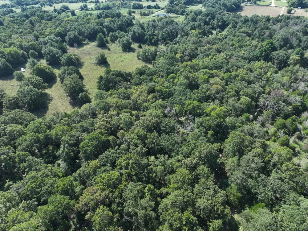 CR 935 Teague, TX 75860