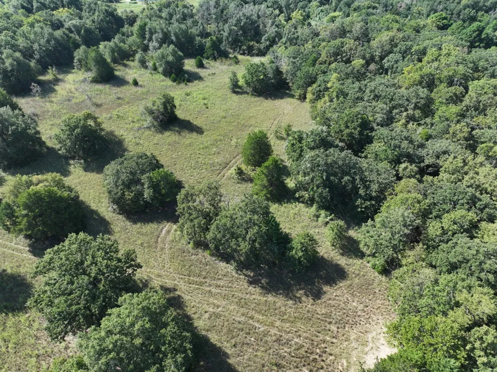 CR 935 Teague, TX 75860