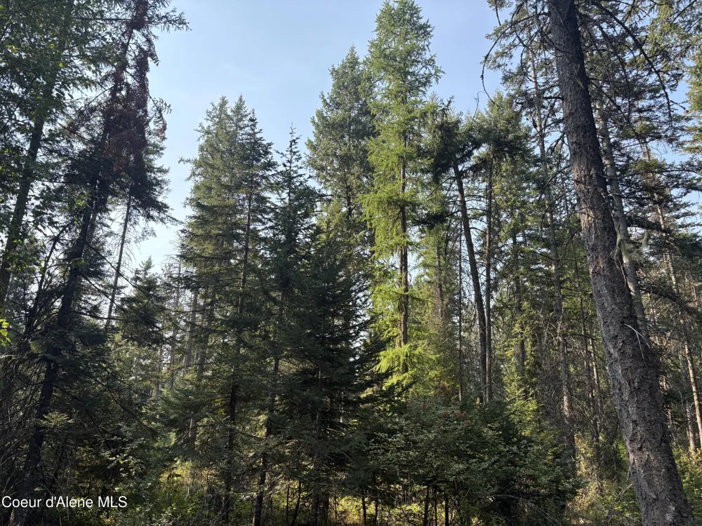 NNA E Lewellen Creek ( North 10 ) Road Athol, ID 83801