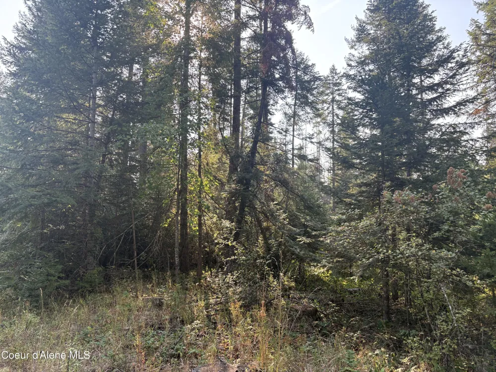 NNA E Lewellen Creek ( North 10 ) Road Athol, ID 83801