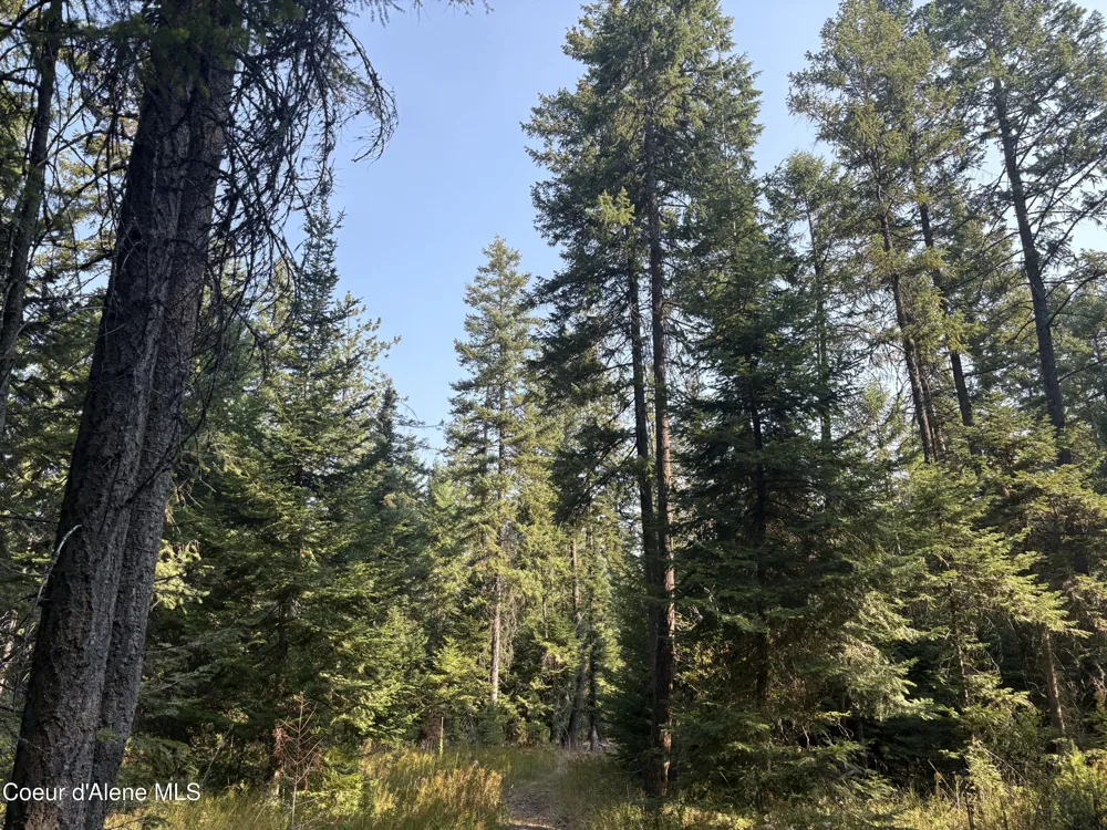 NNA E Lewellen Creek ( North 10 ) Road Athol, ID 83801
