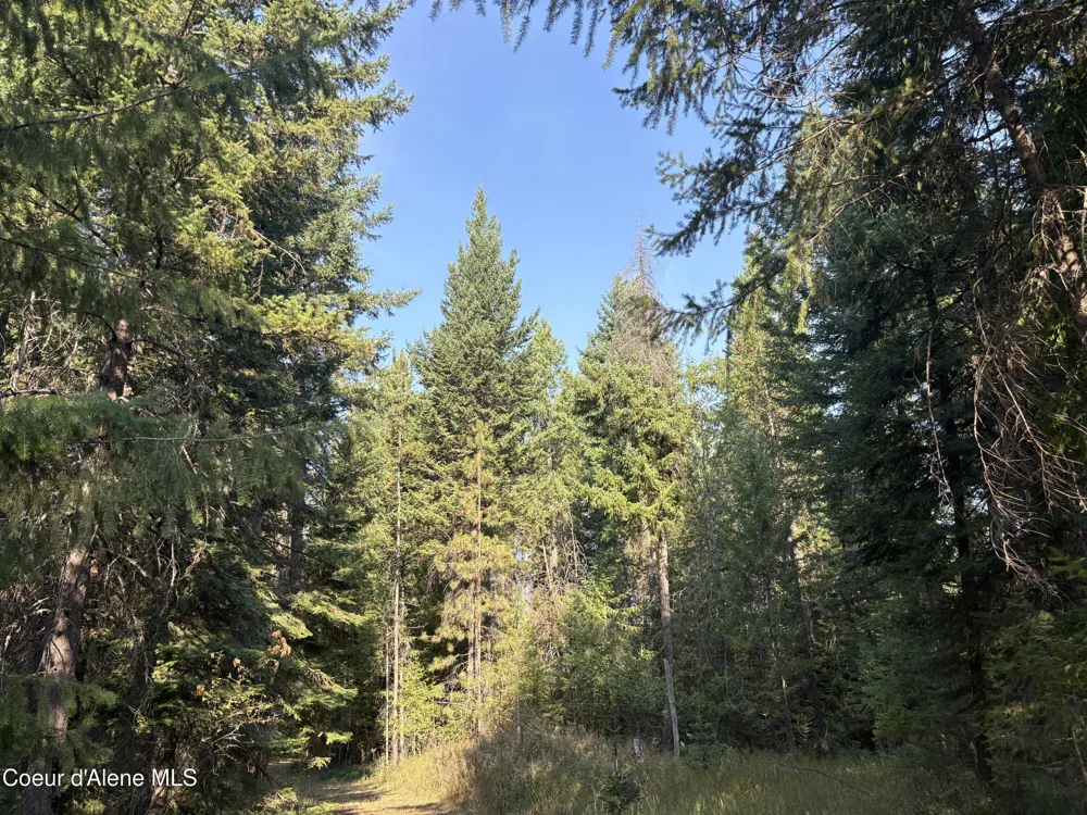 NNA E Lewellen Creek ( North 10 ) Road Athol, ID 83801