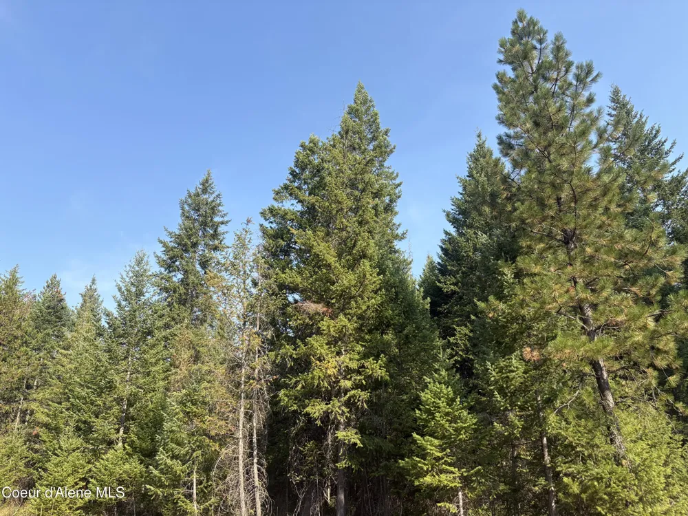 NNA E Lewellen Creek ( North 10 ) Road Athol, ID 83801