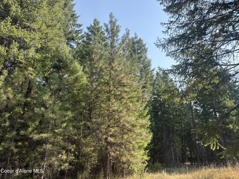 NNA E Lewellen Creek ( North 10 ) Road Athol, ID 83801