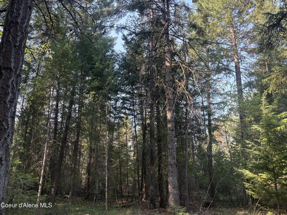 NNA E Lewellen Creek ( North 10 ) Road Athol, ID 83801