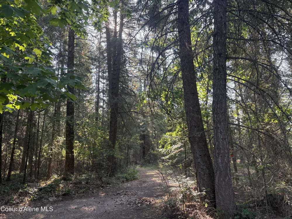 NNA E Lewellen Creek ( North 10 ) Road Athol, ID 83801