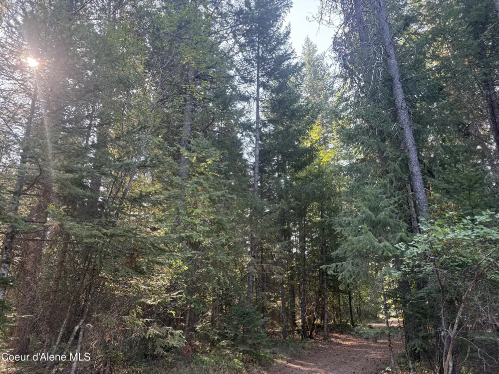 NNA E Lewellen Creek ( North 10 ) Road Athol, ID 83801