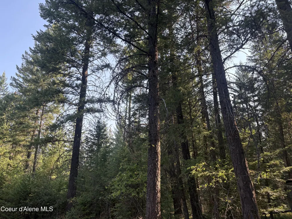 NNA E Lewellen Creek ( North 10 ) Road Athol, ID 83801
