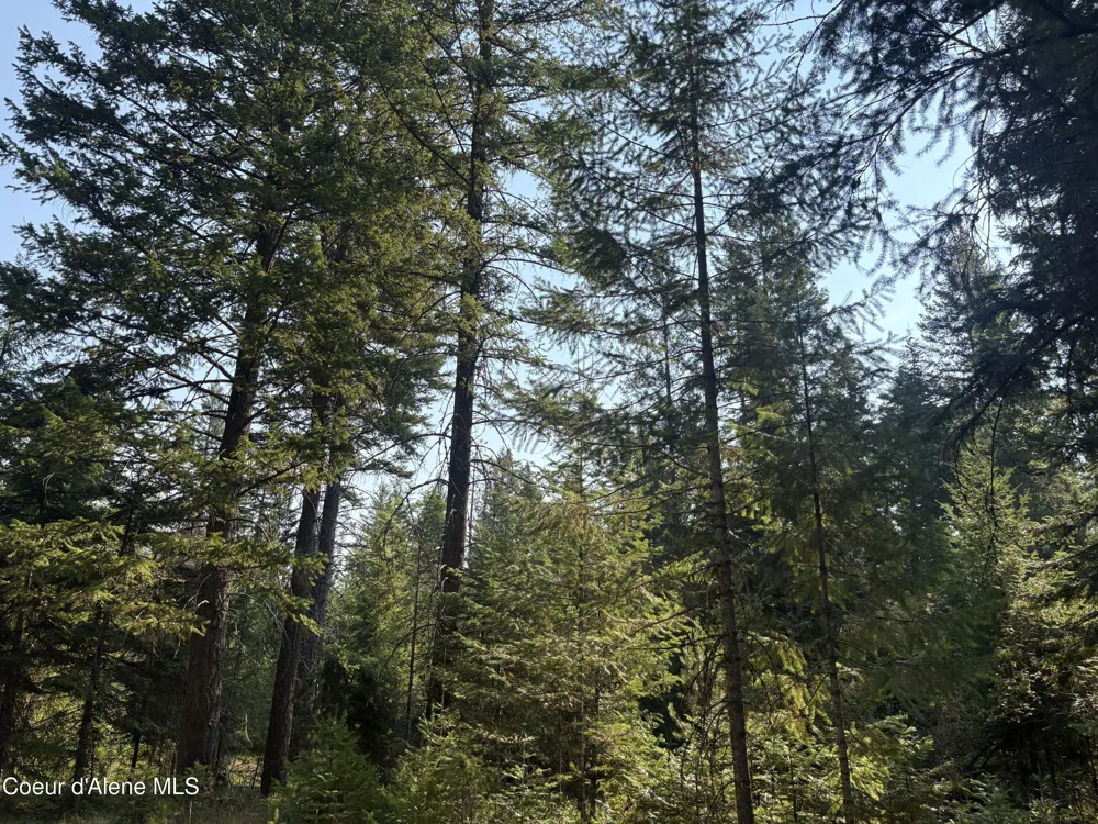 NNA E Lewellen Creek ( North 10 ) Road Athol, ID 83801