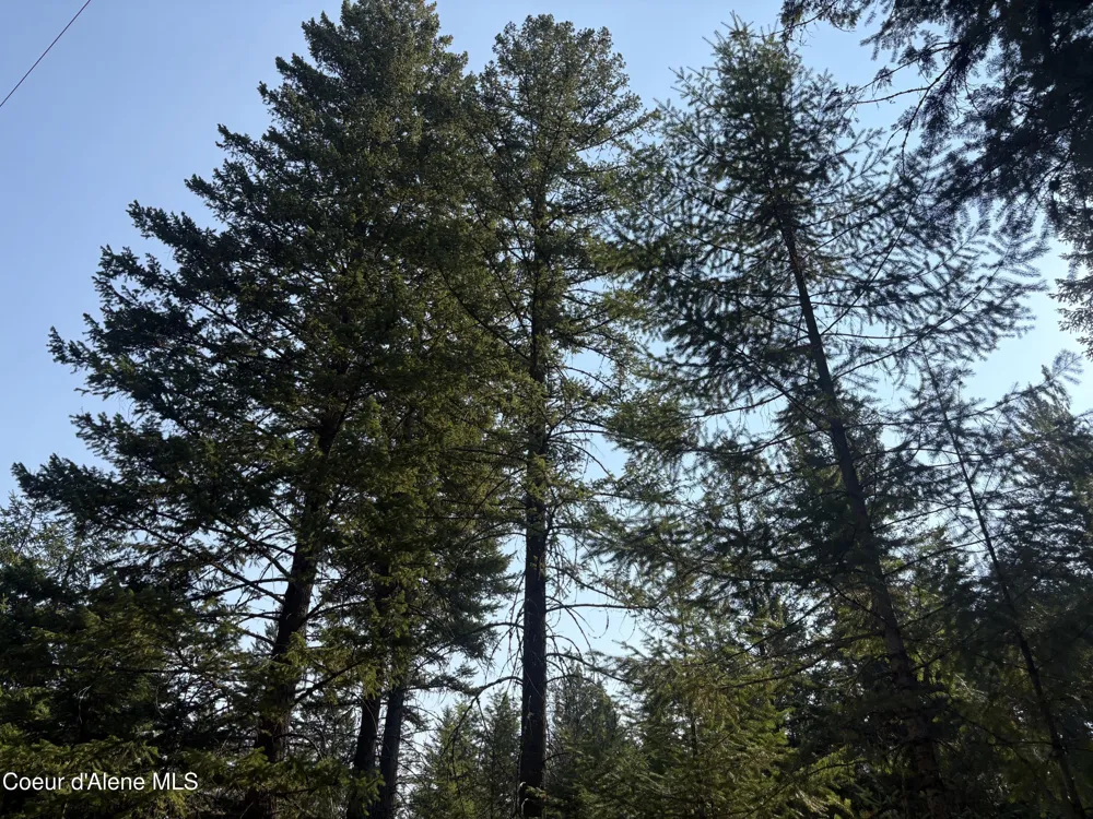 NNA E Lewellen Creek ( North 10 ) Road Athol, ID 83801