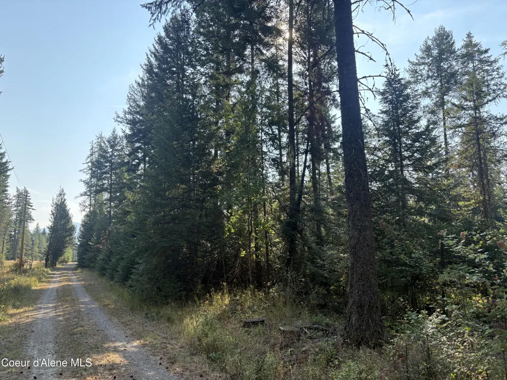 NNA E Lewellen Creek ( North 10 ) Road Athol, ID 83801