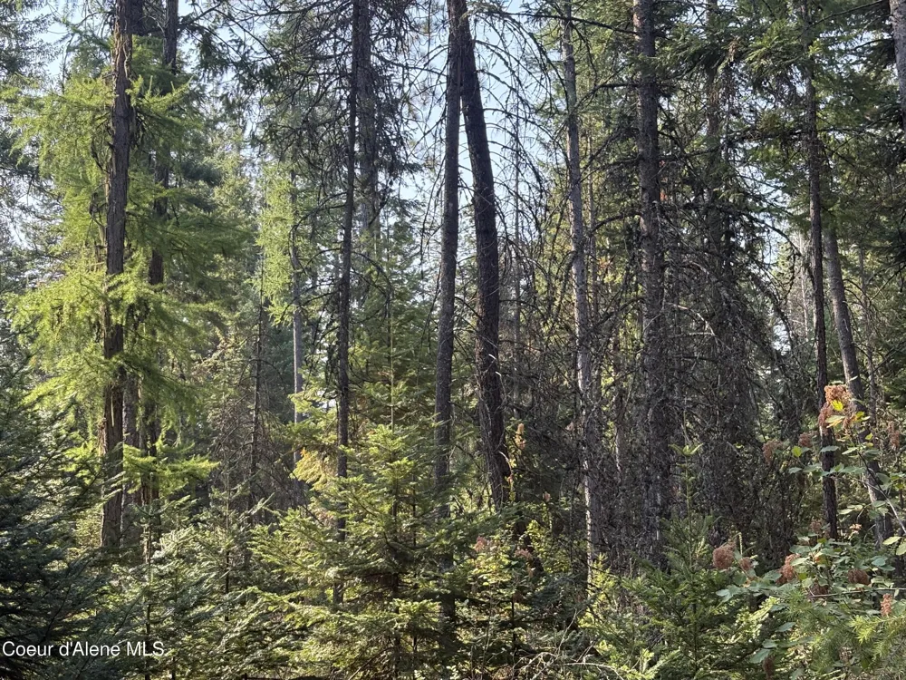 NNA E Lewellen Creek ( North 10 ) Road Athol, ID 83801