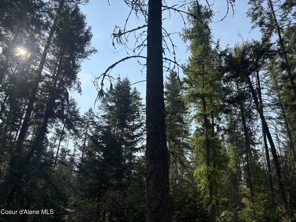 NNA E Lewellen Creek ( North 10 ) Road Athol, ID 83801