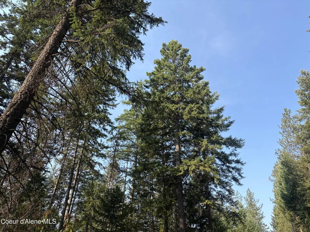 NNA E Lewellen Creek ( North 10 ) Road Athol, ID 83801