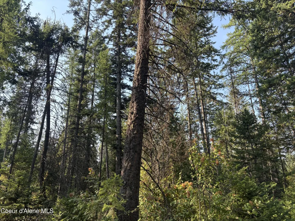 NNA E Lewellen Creek ( North 10 ) Road Athol, ID 83801