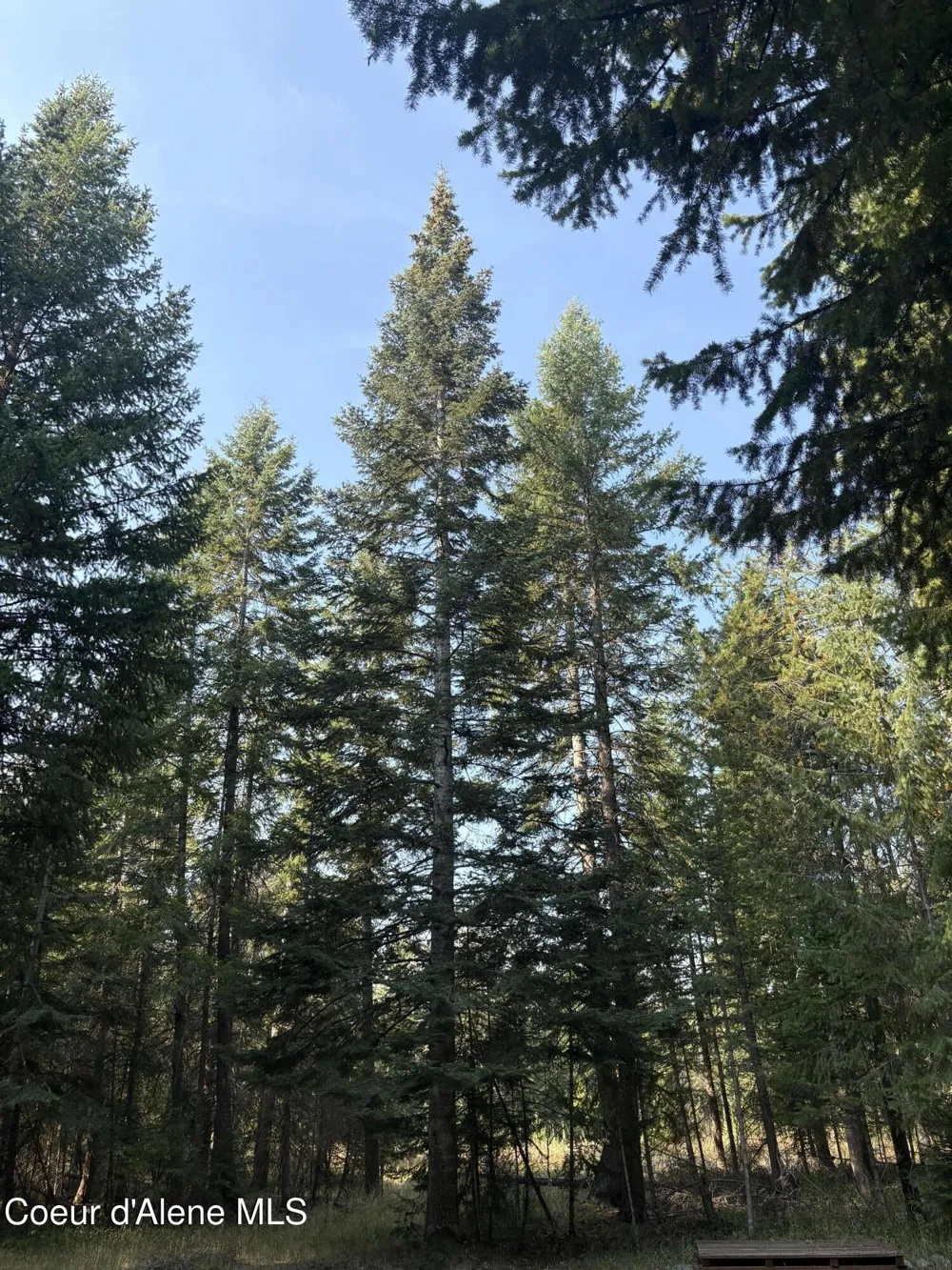 NNA E Lewellen Creek ( North 10 ) Road Athol, ID 83801