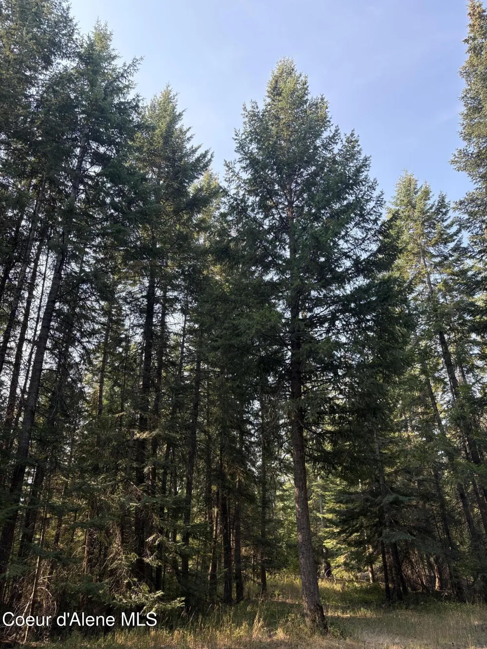 NNA E Lewellen Creek ( North 10 ) Road Athol, ID 83801