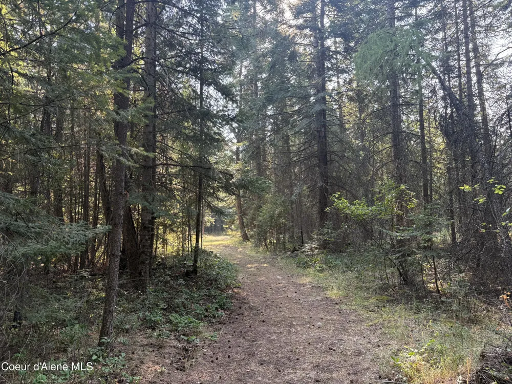 NNA Lewellen Creek (South 10) Road Athol, ID 83801