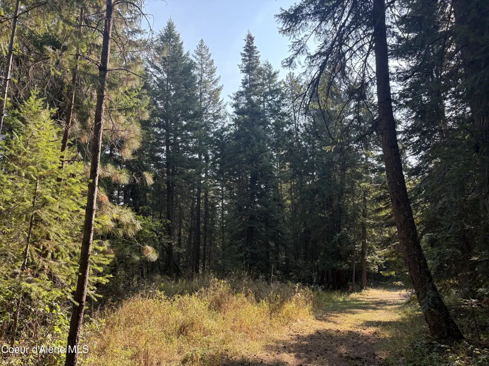 NNA Lewellen Creek (South 10) Road Athol, ID 83801