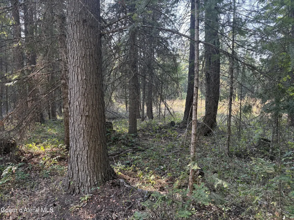 NNA Lewellen Creek (South 10) Road Athol, ID 83801