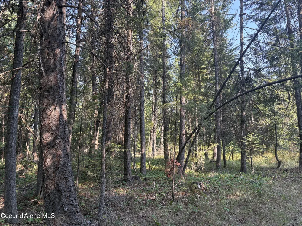 NNA Lewellen Creek (South 10) Road Athol, ID 83801