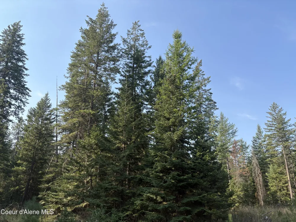 NNA Lewellen Creek (South 10) Road Athol, ID 83801